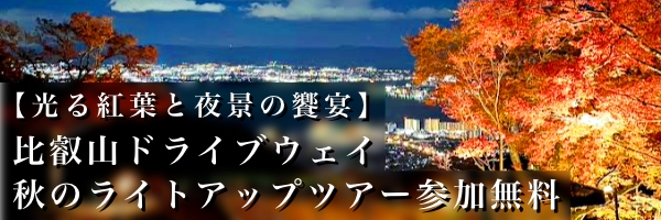 秋の紅葉ライトアップツアーのご案内